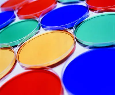 有机颜料在涂料行业中的应用